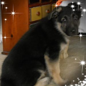 Meet your Posher, Janet